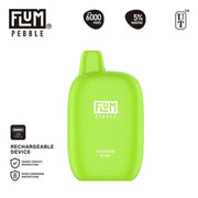 flum pebble x 6000 disposable vape